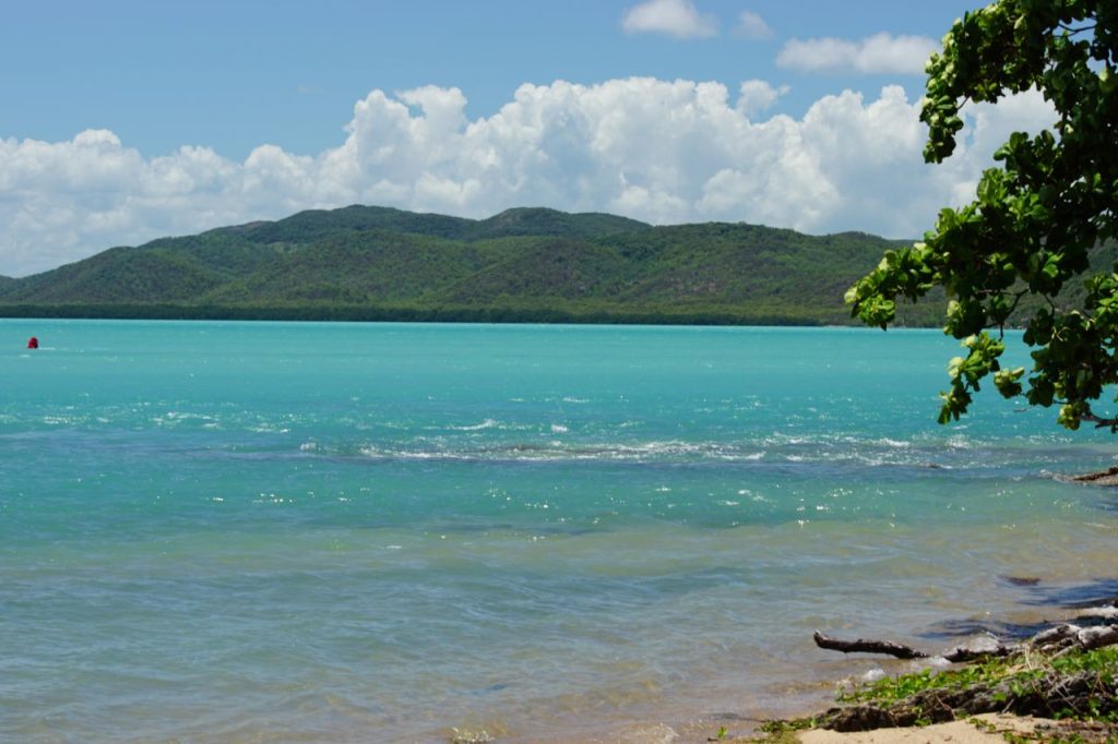 Beautiful blue water with trees in the distance and a blue sky with clouds