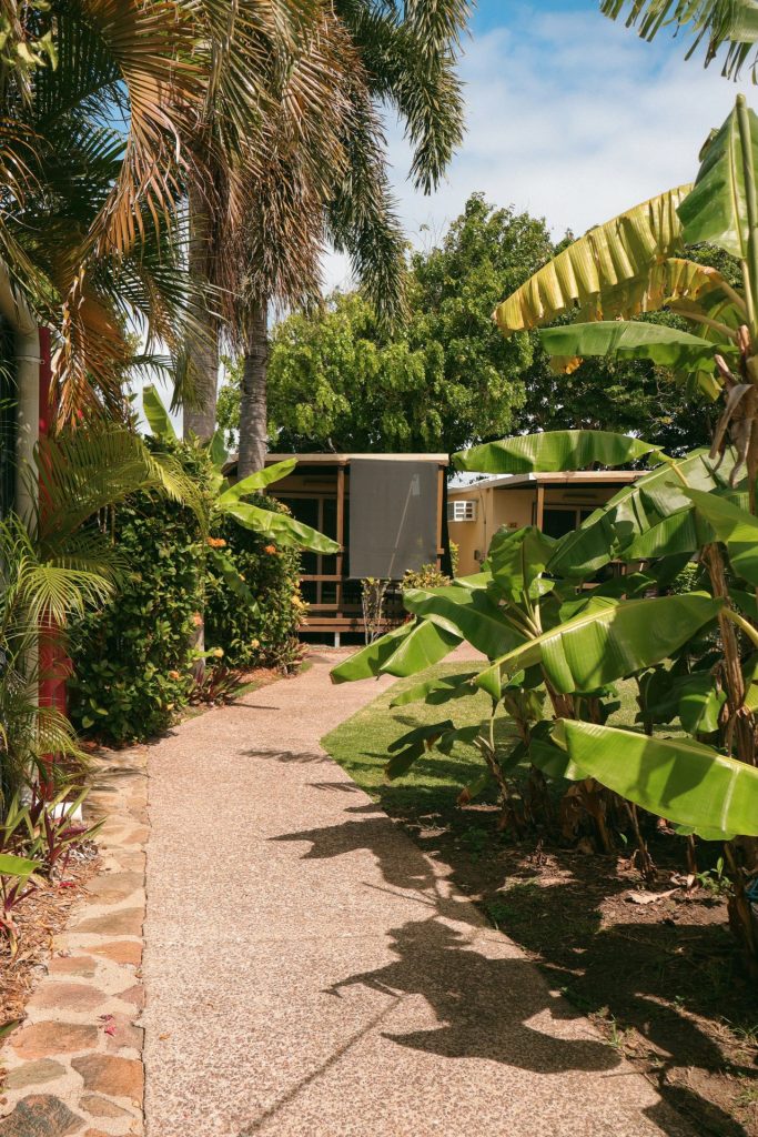 A path to Wongai Hotel, edged by palms and banana trees